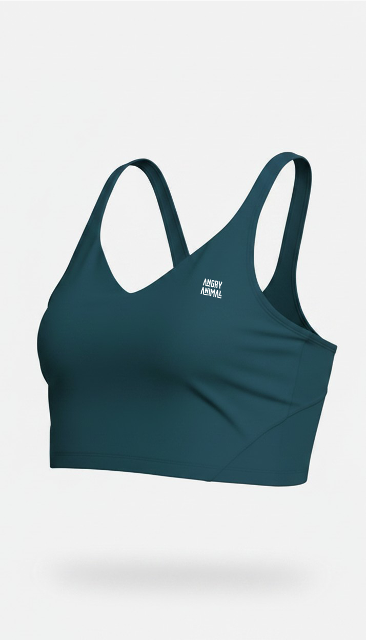 Apex Sports Bra